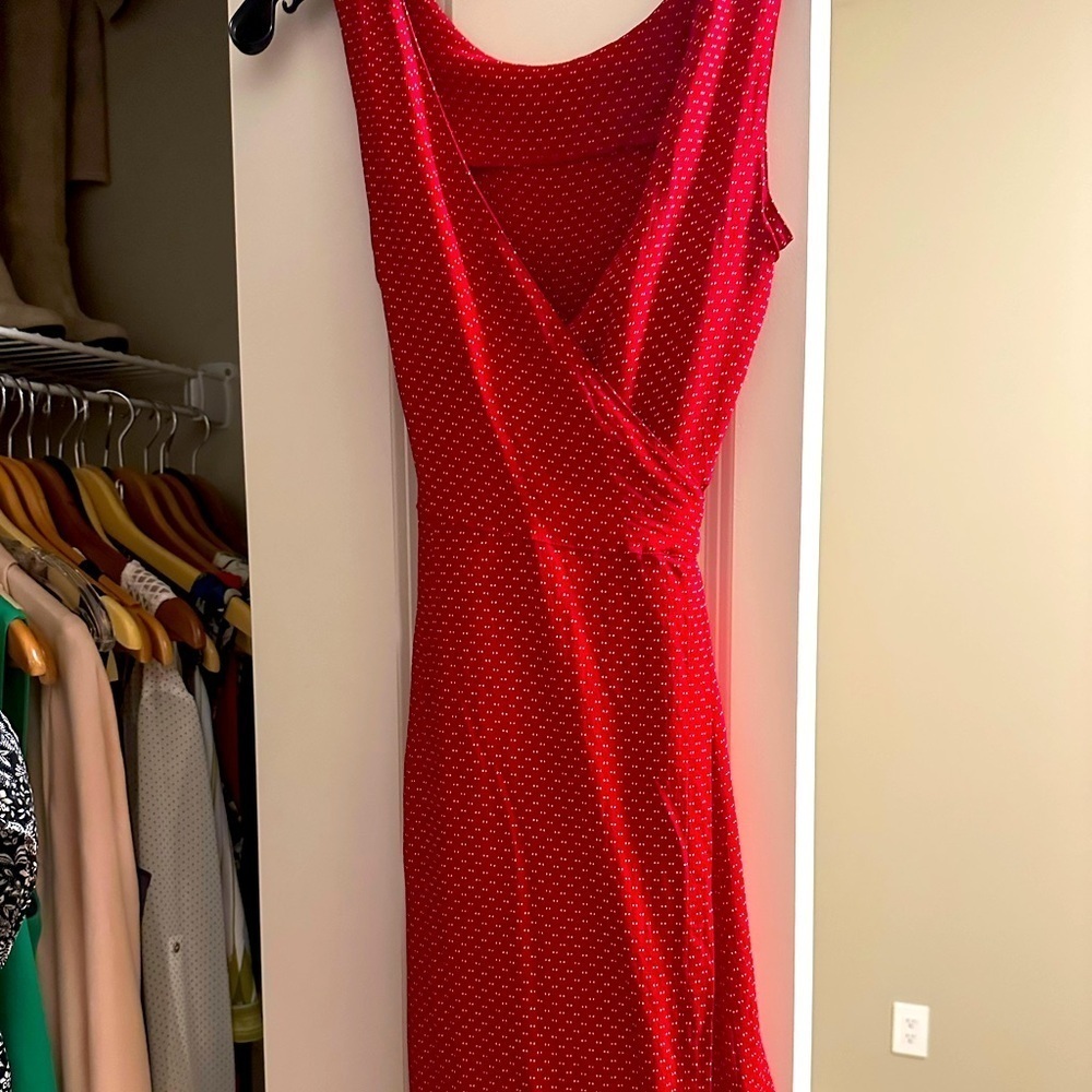 Club Monaco dress